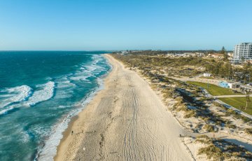 Coastal management and marine wildlife